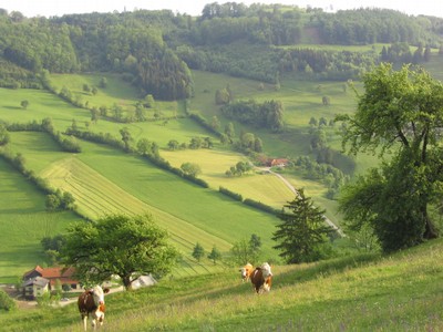 pielach-gruenlan-Kulturlandschaft